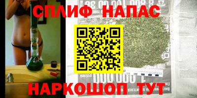 гидра Славгород