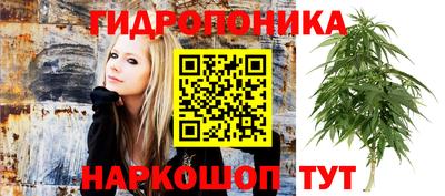 гидра Славгород
