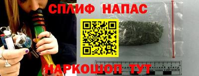 гидра Славгород