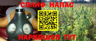 mdma Сланцы