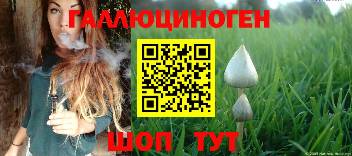 Псилоцибиновые грибы MAGIC MUSHROOMS  Вход с VPN  цена наркотик  Тулун 